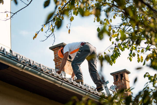 Best Flat Roof Repair Services  in Two Rivers, WI