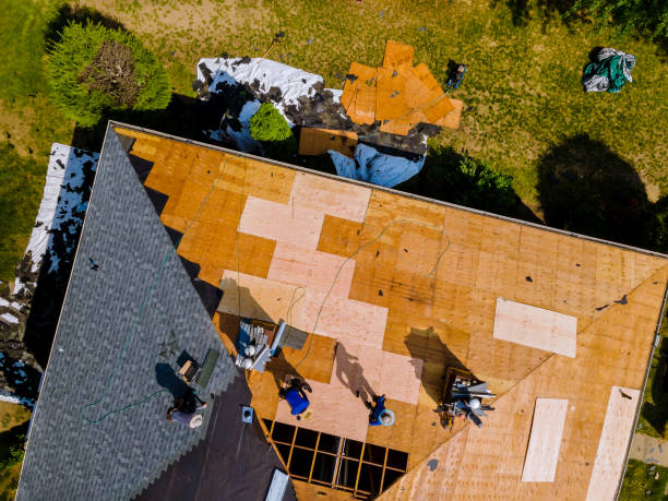 Best Roof Gutter Cleaning  in Two Rivers, WI